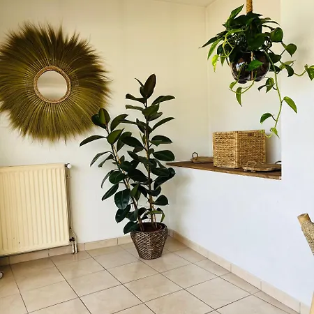 Superbe Appartement Avec Vue Sur Le Lac Du Bourget Tresserve Buitenkant foto